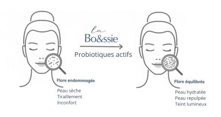 flore cutanée peaux sèches